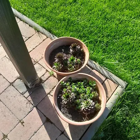 Apartman Lila Füge Apartman *